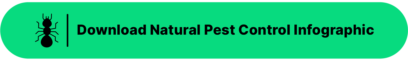 Green download button with an ant on the left that reads "Download Natural Pest Control Infographic"