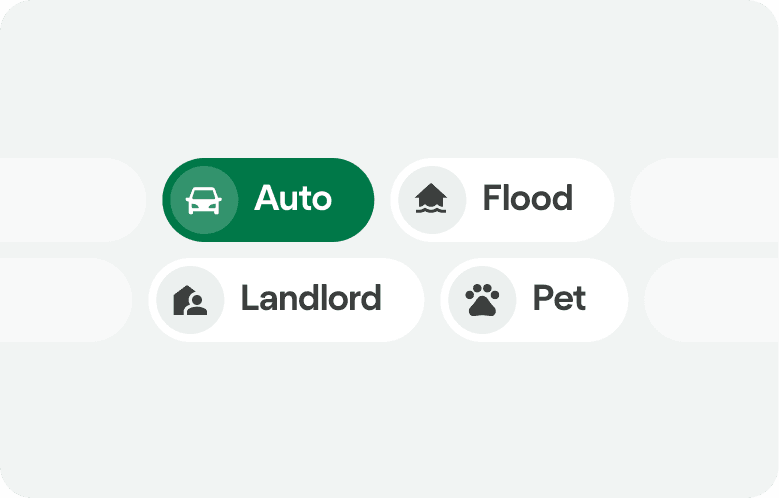 Insurance options showing auto, flood, landlord, and pet.