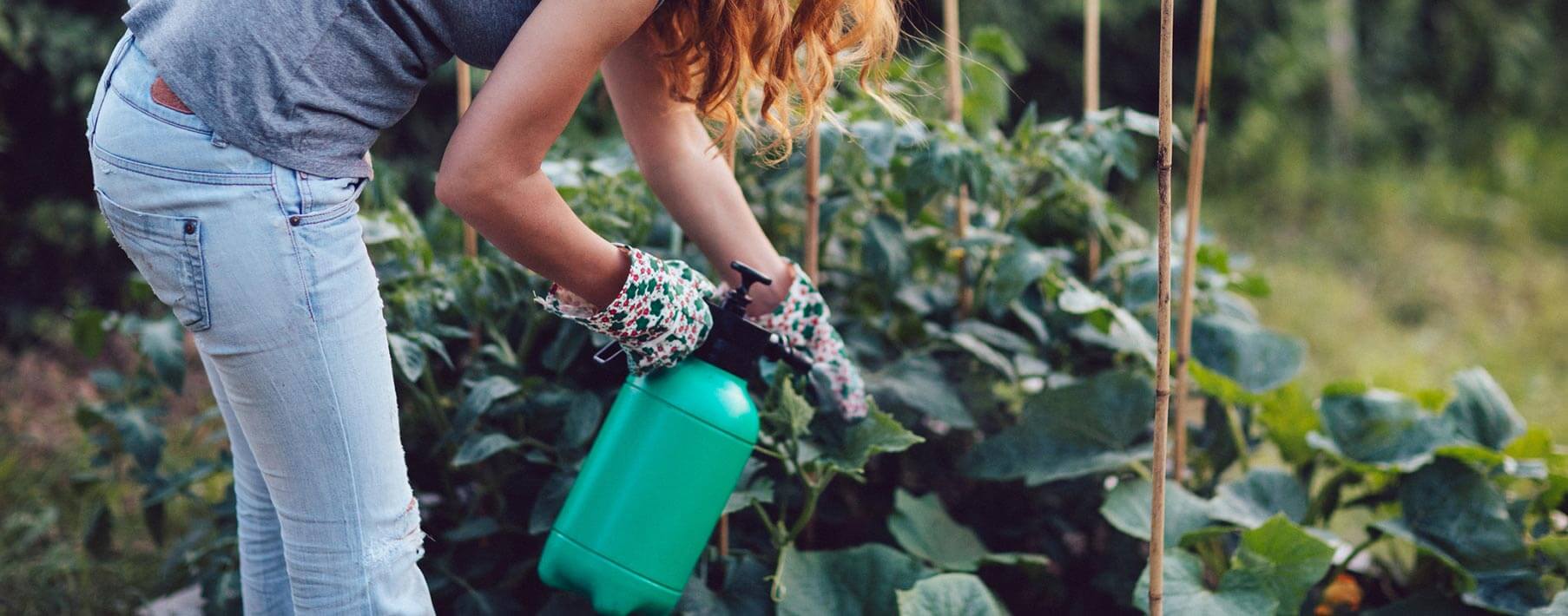 10 Natural Pest Traps To Use In An Organic Garden