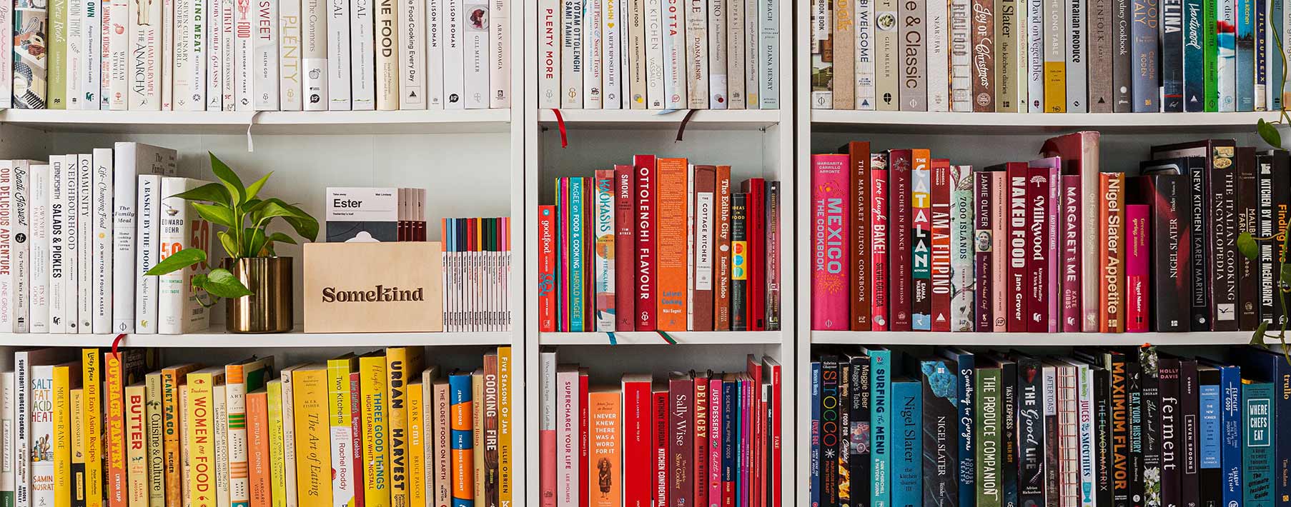 How To Make a Home Library: 16 Tips - Hippo