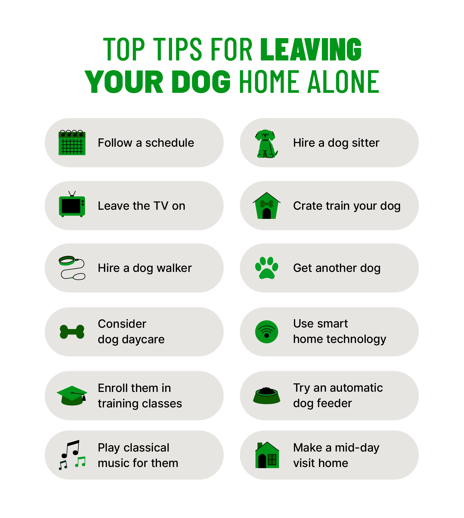 Top Tips For Leaving Your Dog Alone 