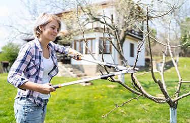 homeowner cutting branches near their home